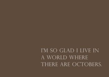 25 Funny Quotes for Status to Brighten Your Day